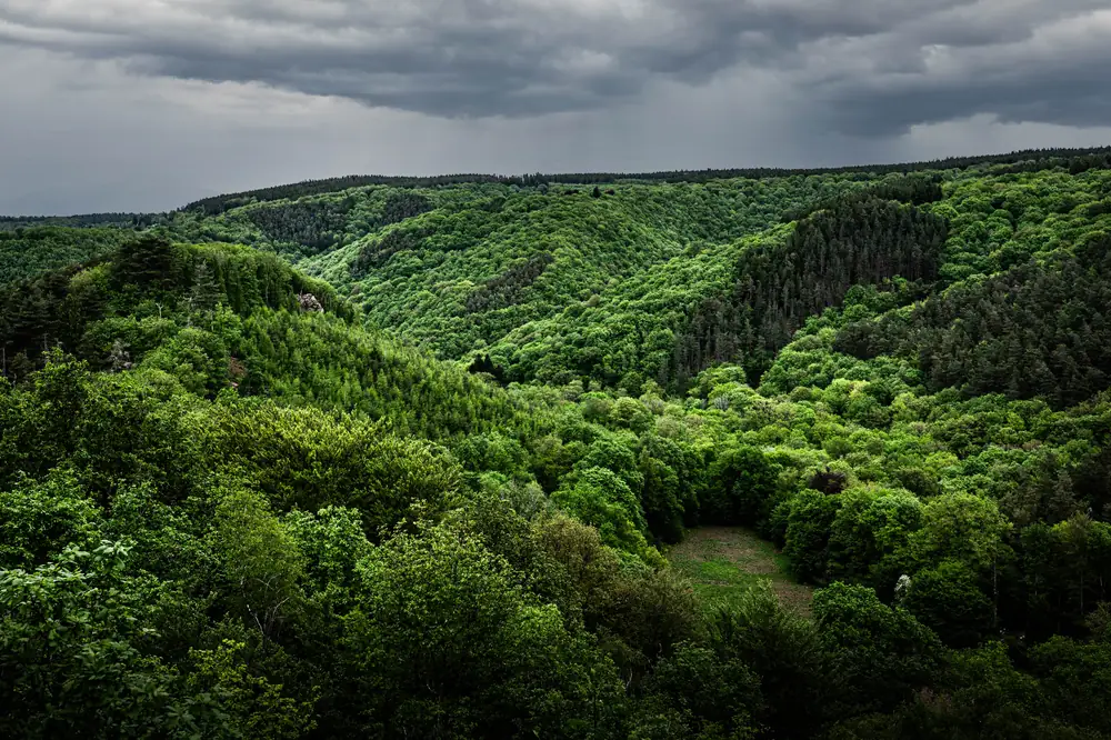 Trail du Ninglinspo — édition 2026
