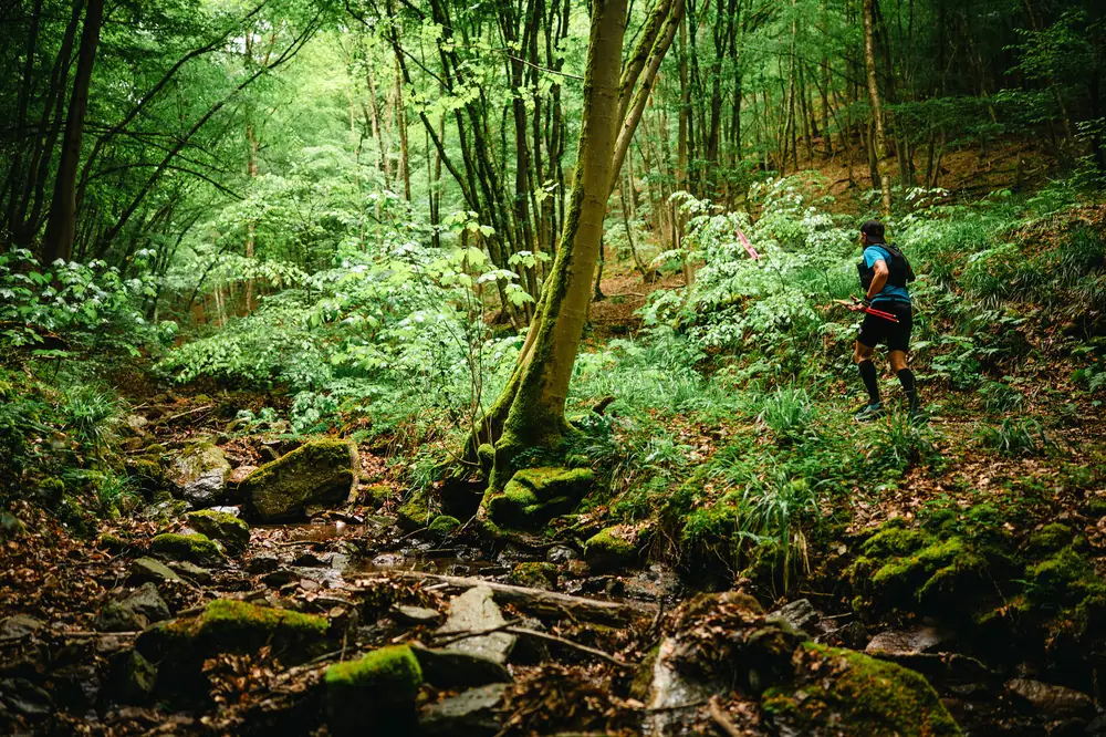 Trail du Ninglinspo — édition 2026
