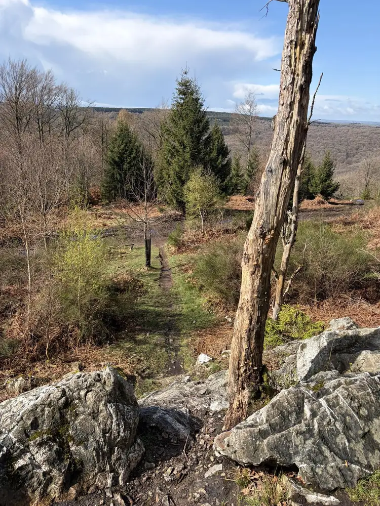 Trail du Ninglinspo — édition 2026