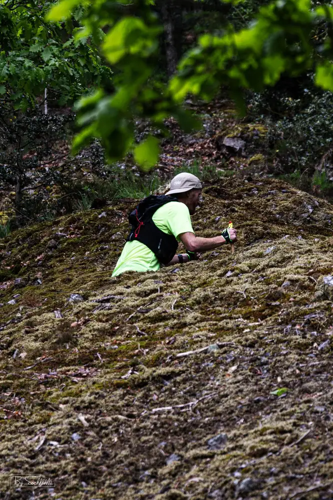 Trail du Ninglinspo — édition 2026