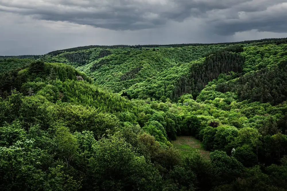 Trail du Ninglinspo — édition 2026